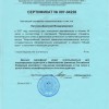 2007 год - Аудитор Петухов Дмитрий Владимирович