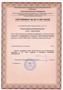 2011 год - Аудитор Петухов Дмитрий Владимирович
