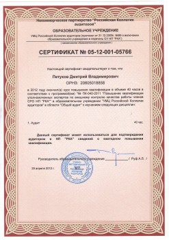 2012 год - Аудитор Петухов Дмитрий Владимирович